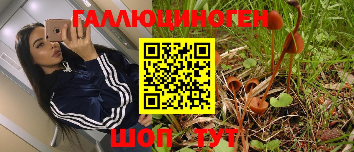 Галлюциногенные грибы Magic Shrooms  Вход с VPN  Псилоцибиновые грибы Magic Shrooms  где найти наркотики  Подольск 